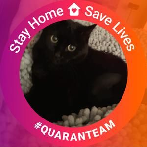 Meet your Posher, Shirley